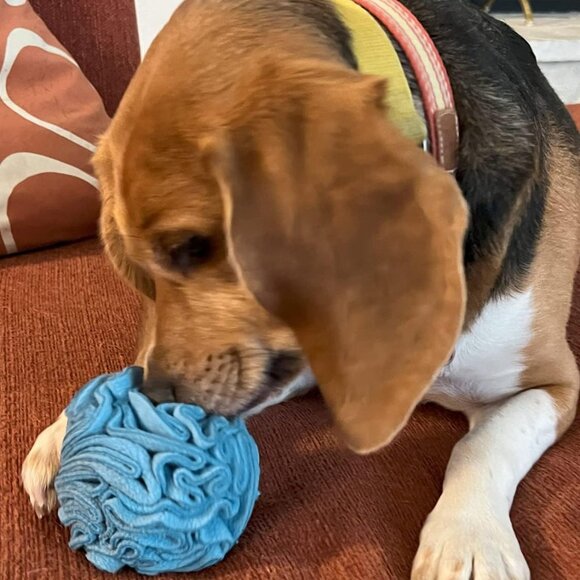 Puppy and Small Breed Snuffle Interactive Foraging Dog Puzzle Ball Toy Blue - Picture 7 of 9